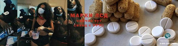 стафф Богданович