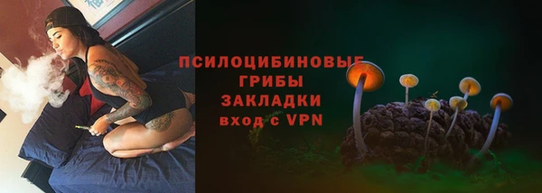 стафф Богданович