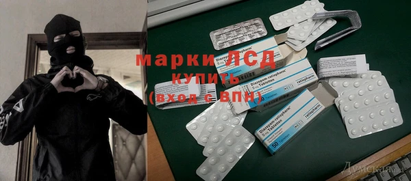 эйфоретик Покачи